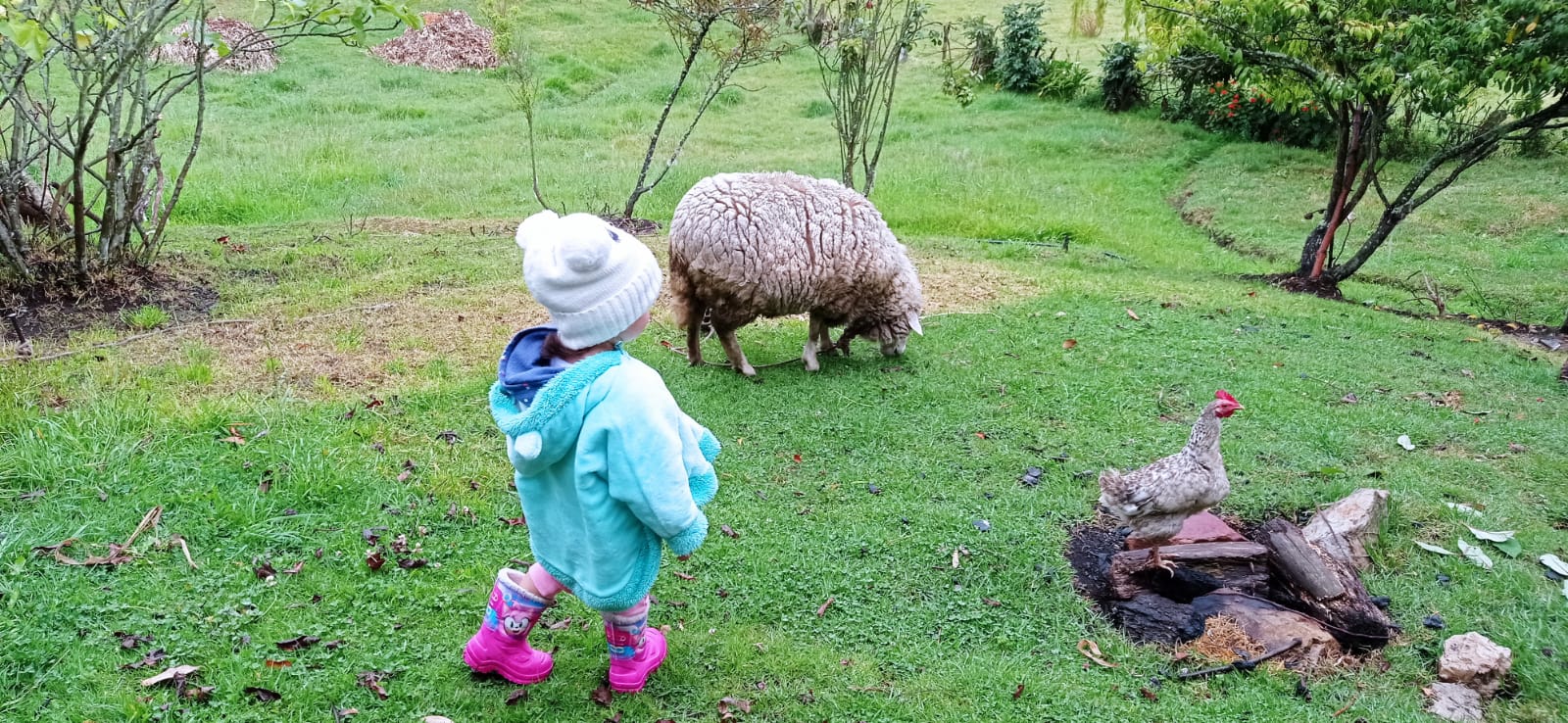 Campesino por un día: Experiencia rural