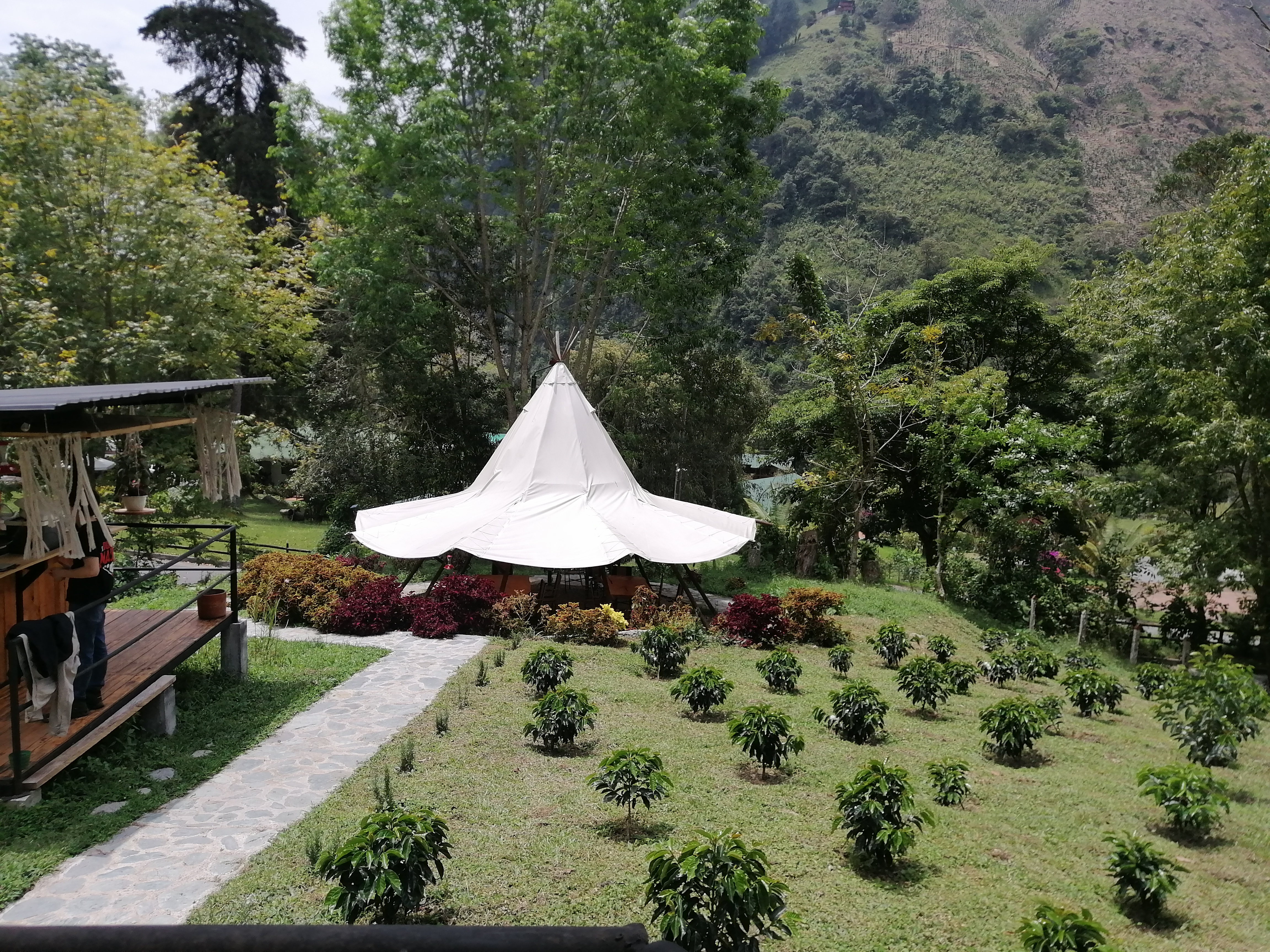 Sostenibilidad: Actividad de turismo responsable